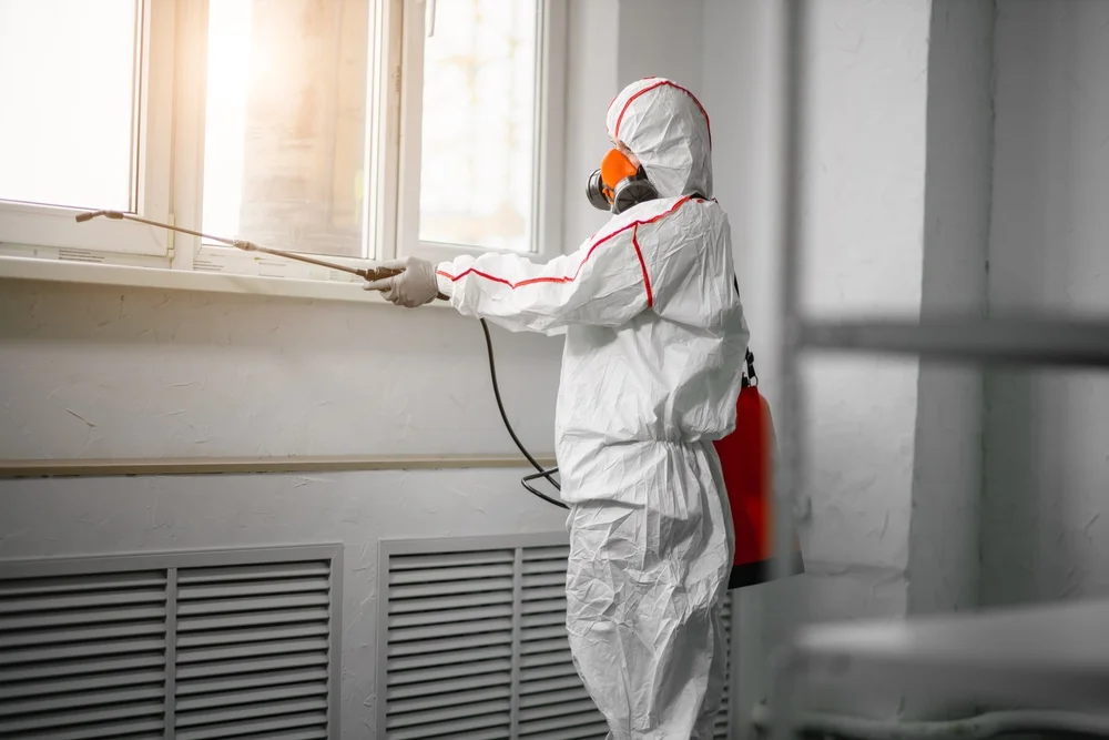 Professional mold remediation services in Pepeekeo, HI